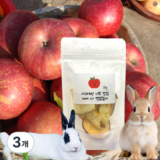 [라비토 간식_사과] 사과해! 너무 맛있어서 다 먹었잖아, 3개, 20g, 사과