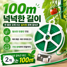 식물 고정끈 원예용 묶는 줄 가든타이 케이블타이 화초 지지대 고정 100m, 2개