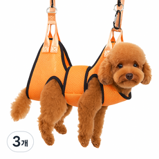 바람펫 반려동물 미용 해먹 강아지 고양이 발톱 관리, 오렌지, 3개