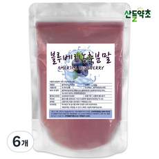 산들약초 블루베리농축분말 미국산 블루베리, 500g, 6개