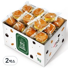 젤리젤리 부드럽고 촉촉한 한입 카스테라, 1kg, 2박스