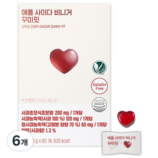 라디메리 애플 사이다 비니거 꾸미핏 (60구미), 60정, 6개