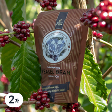 반미골드 베트남 루왁커피 족제비 위즐커피, 2개, 250g, 홀빈(분쇄안함)