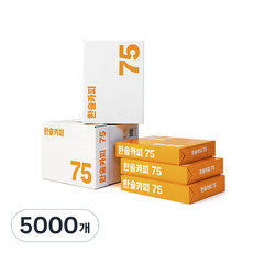 한솔카피 복사용지 75g, A4, 5000매 A4, 5000매