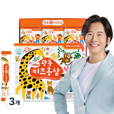 광동 뉴키즈 홍삼스틱, 300g, 3개