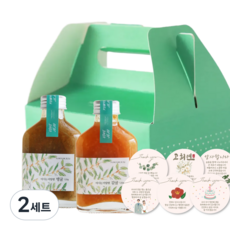 메리굿 제주 감귤 청귤 고급 수제청 선물세트, 2세트, 감귤+청귤