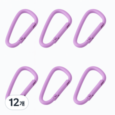 컬러 카라비너 키링 열쇠고리, 12개, 퍼플