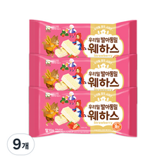 우리밀 발아통밀 웨하스 ( 딸기맛 ), 9개, 80g
