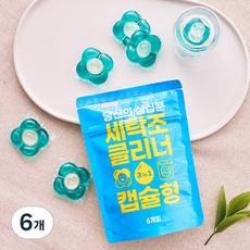 노블팜스 당신의 삼십분 캡슐 세탁조 클리너 6P, 6개