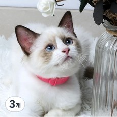 해충목줄 조정가능 벼룩 고양이 칼라 목 스트랩 진드기 애완 동물, 3개, 11g
