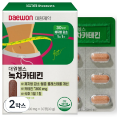 대원제약 녹차카테킨 다이어트 (체지방 감소 콜레스테롤 개선 항산화)/30, 2박스, 30정
