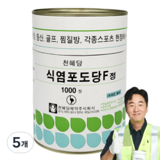 천혜당 식염포도당, 1000정, 5개 1000정, 5개