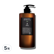 홀츠포맨 남자 남성 화장품 브라이트닝 세범 폼클렌징 피지제거 밝은피부 클렌징폼, 5개, 1L