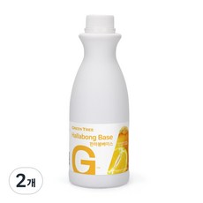 그린트리 한라봉 에이드 베이스 1.2kg, 2개
