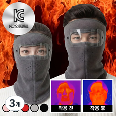 KC인증 리에라벨 페이스 풀가드 방한 마스크 고글, 딥그레이(넥가드형), 3개, 2개입