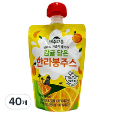 어니스틴 감귤 담은 한라봉 주스 NFC 착즙 주스 어린이주스 어린이집 간식 학교 간식 어린이 간식 교회 간식, 40개, 100ml