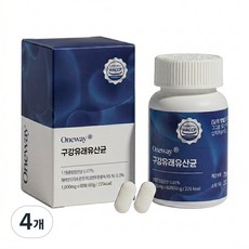 [치과공식판매] 원웨이 프리미엄 덴마크 구강유산균 특허유산균 식약청 HACCP 페퍼민트맛, 4개, 60정