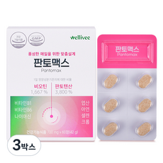비오틴 1등 맥주효모 판토텐산 L-시스틴 비타민B 판토맥스, 60정, 3박스