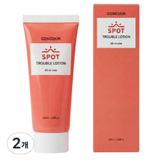 공스킨 병풀추출물 트러블 스팟 올인원 로션, 100ml, 2개