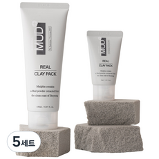 보령머드 리얼클레이팩 세트, 5개, 1개입