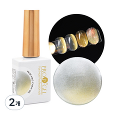 미키리키 프로프 자석젤 마그샴젤 샴페인골드빛 마그넷젤, 2개, 10ml, 01 샴페인 그레이