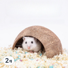 솔레르 소동물 키우기 코코넛 은신처 소형, 2개, 갈색