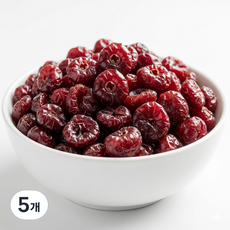 명식품본사 크랜베리 [대포장] 크렌베리, 5개, 1kg