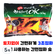 한방에OK 간편점화 착화숯 캠핑 숯불 바베큐 구이용 번개탄 대용, 2kg, 5개