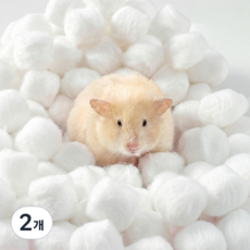 오늘도 뒹굴뒹굴 햄스터 소동물용 화이트 솜베딩, 2개, 40g
