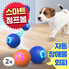 앤트앤비 스마트 댕댕이 점프볼 강아지 고양이 장난감, 2개, 오렌지