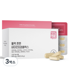 [임박특가] 튼튼백서 활력 튼튼 비타민B컴플렉스 3개월분 (26.08.20), 3박스, 90정