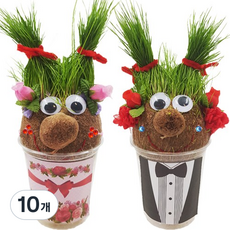 [매직북스] 내친구 잔디인형 키우기, 10개