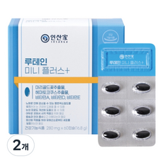 인산가 정품 루테인 미니플러스280mg x 60캡슐 루태인 눈건강 눈영양제, 2개, 60정