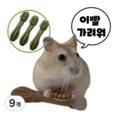 (best상품) 햄스터 이갈이 덴탈츄 비건 간식 인기만점!! 그린, 9개