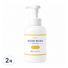 와이즐리 쫀쫀하고 부드러운 거품 파우더향 대용량 핸드워시, 2개