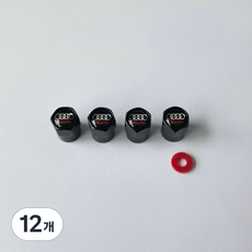 AUDI 아우디 타이어 에어캡 마개 밸브캡 4P 블랙, 12개