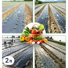 멀칭비닐 95cm X 20m 농사 잡초발생방지 자외선차단 토양안정비닐, 2개