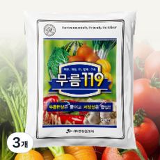 비료나라 중앙프라자 무름119 무름예방 시들음 피해경감 저장성 상품성 향상 식물영양제 비료, 3개, 500g