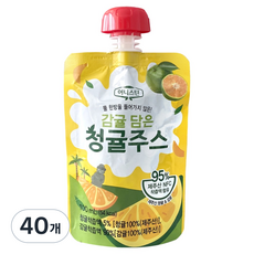 어니스틴 감귤 담은 청귤 주스 제주 청귤 NFC 착즙 주스 어린이집 간식 어린이 주스 어린이집 주스 학교 간식 교회 간식, 40개, 100ml