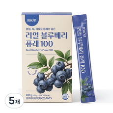 이비온 리얼 블루베리 퓨레 100 미국산 14포, 280g, 5개