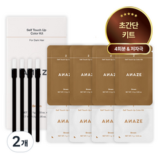 [어네이즈] 셀프 터치 업 부분 염색 컬러 키트, 2개, B01 브라운