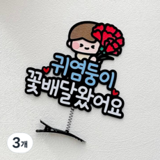 어버이날 스승의날 머리핀 토퍼 선생님 선물 카네이션, 남아, 3개, 귀염둥이