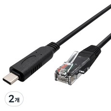 이지온 C타입 to RJ45 유선 랜 케이블 100Mbps, 1.5m, 2개, 블랙