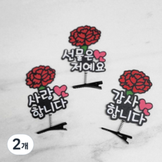 해피복댕이 카네이션 머리핀 어버이날 스승의날 부모님 선생님 유치원 어린이집 토퍼, 2개, 사랑합니다