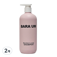 약산성 냄새 향기 좋은 샴푸 지성 두피 사춘기 청소년 바라움 블랙베리솝 샴푸, 2개, 490ml