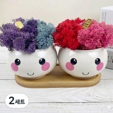 스칸디아모스 표정화분 부자되세요 공기정화이끼화분, 2세트