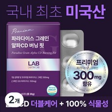 랩온랩 프리미엄 파라다이스 그레인 알파CD 버닝 핏, 2개, 60정