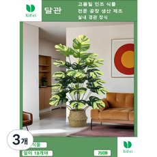 실내 장식용 인조 황색 거북 등나무는 18개의 잎이 높이 75cm 조화 인조 식물이다, 3개, 노란 거북등나무 높이 75cm