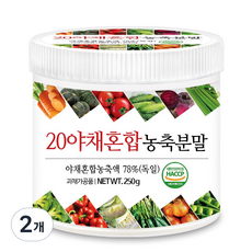 푸른들판 20종 야채 채소 믹스 혼합 농축 분말 가루 무가당 간편 야채 파우더 HACCP 인증, 250g, 2개