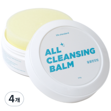 라이프스탠다드 신발클리너, 4개, 210g